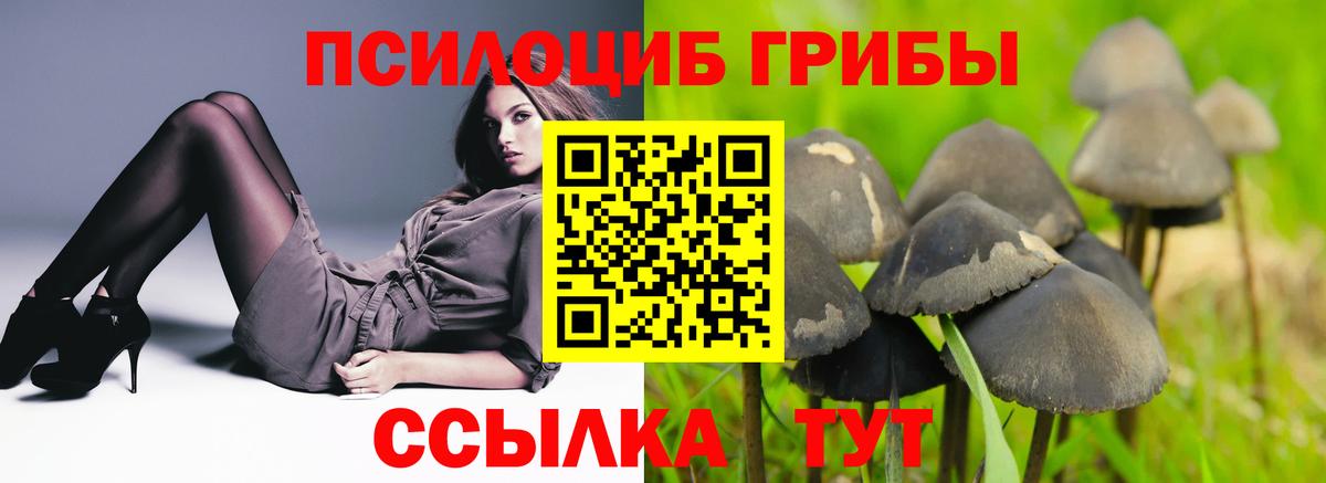 Псилоцибиновые грибы MAGIC MUSHROOMS Ликино-Дулёво